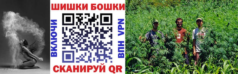 ОМГ ОМГ ТОР  купить наркоту  Бирюсинск  Шишки марихуана семена 